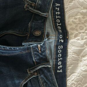 Articles of Society Skinny Jeans